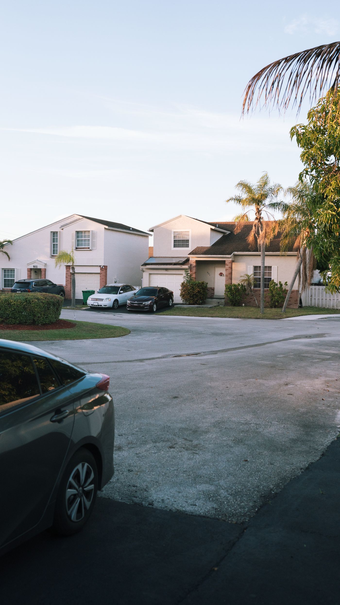 Southwest Florida neighborhood street lined with palm trees